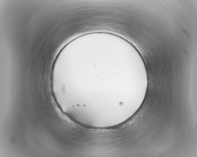 X0000115241534200911271833