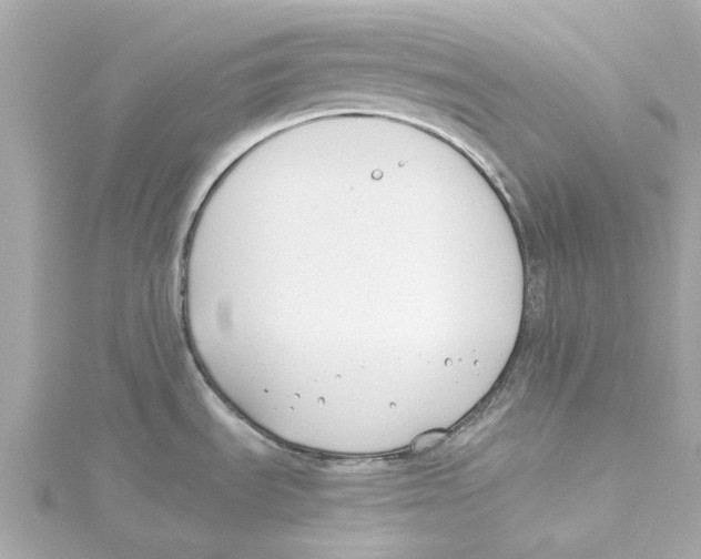 X0000115241535200911271833