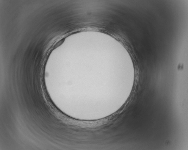 X0000115240001200912111105