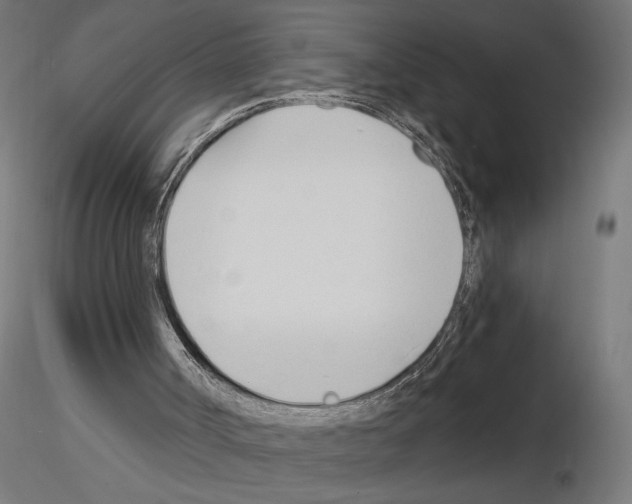 X0000115240002200912111105