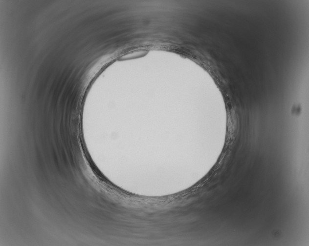 X0000115240003200912111104