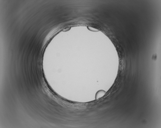 X0000115240004200912111104