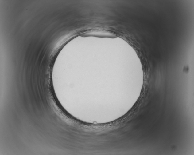 X0000115240005200912111104