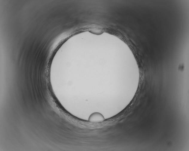 X0000115240006200912111104