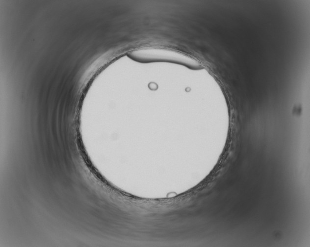 X0000115240007200912111104