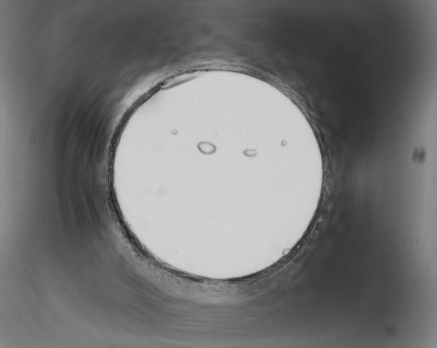 X0000115240008200912111104