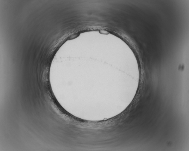 X0000115240009200912111104