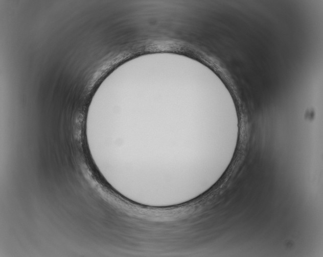 X0000115240010200912111104