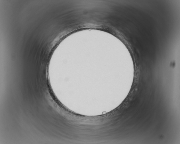 X0000115240011200912111104