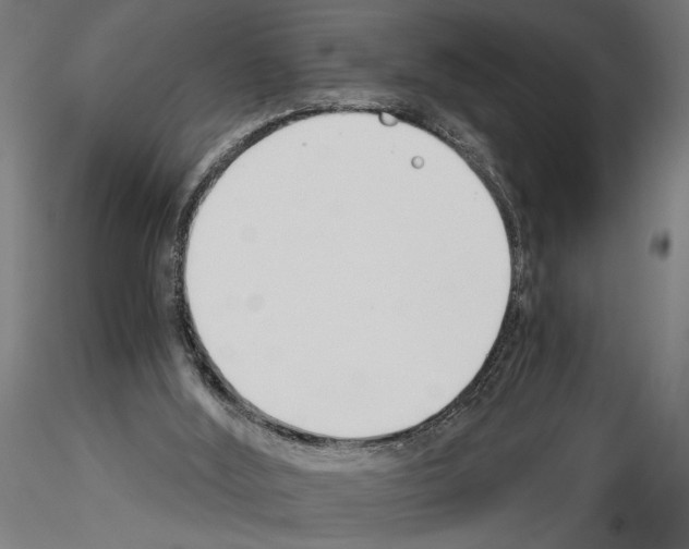 X0000115240012200912111104