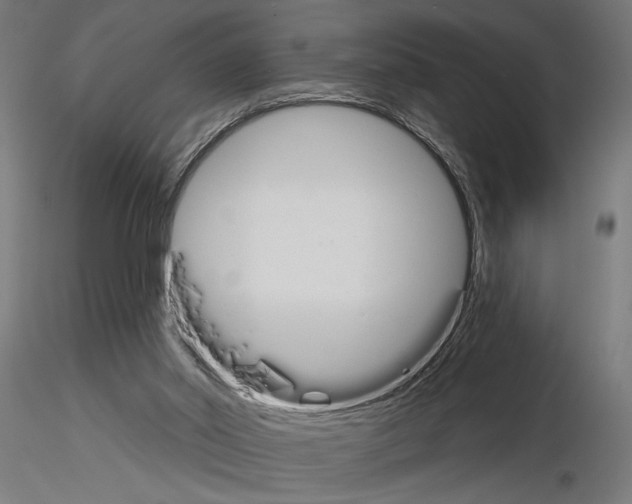 X0000115240014200912111104