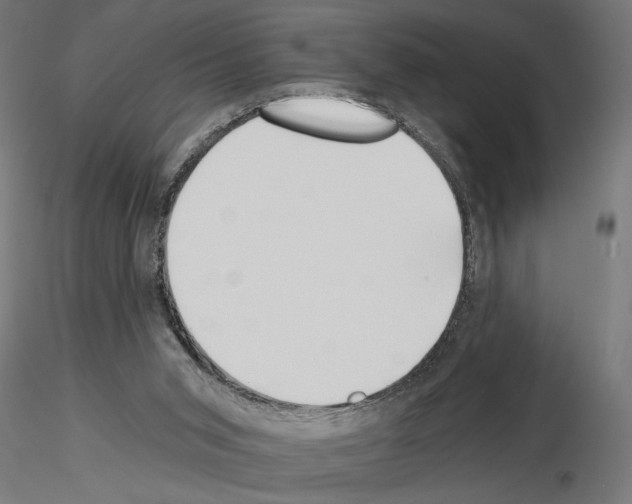 X0000115240015200912111104