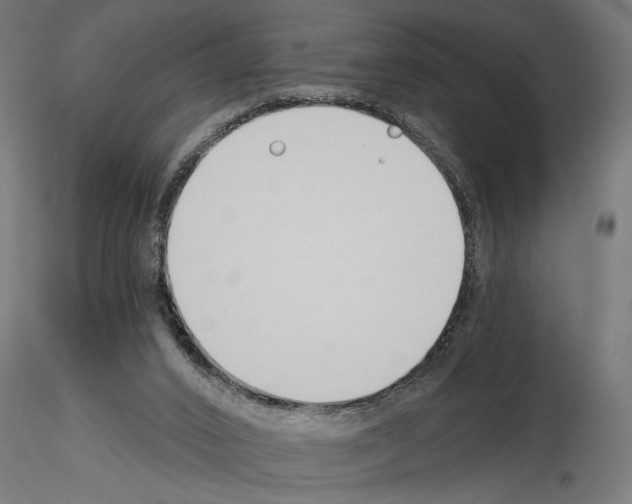 X0000115240016200912111104