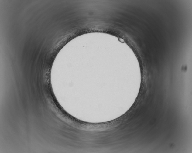 X0000115240017200912111104