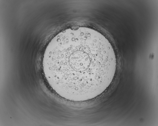 X0000115240018200912111104