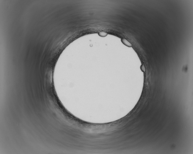 X0000115240021200912111104