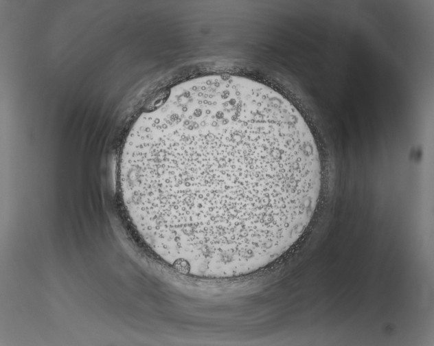 X0000115240022200912111104