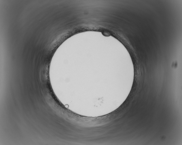 X0000115240023200912111104