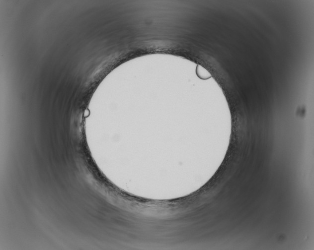 X0000115240024200912111104