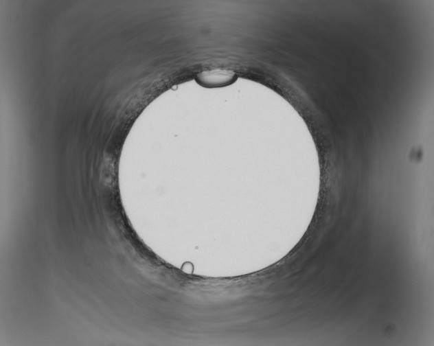 X0000115240025200912111104