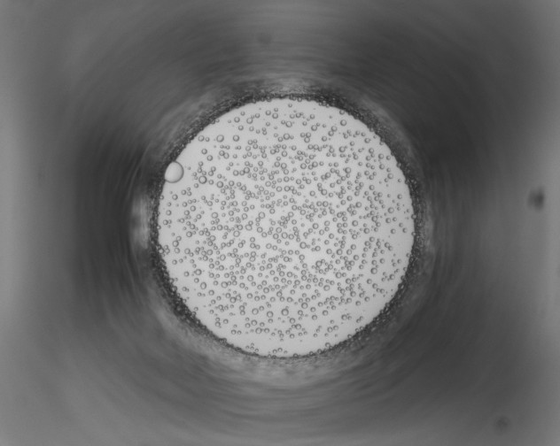 X0000115240026200912111104