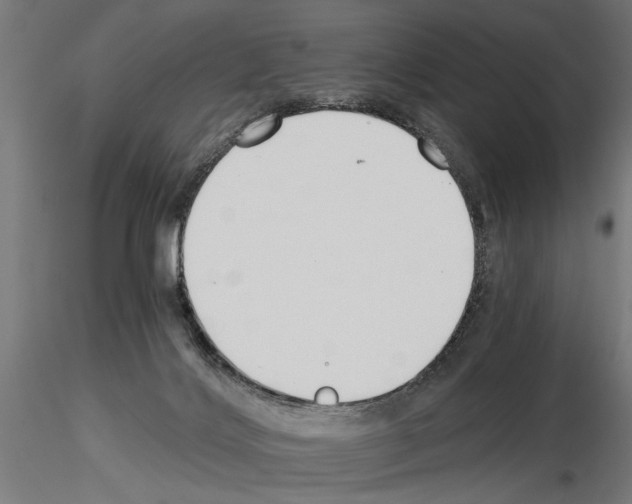 X0000115240028200912111104