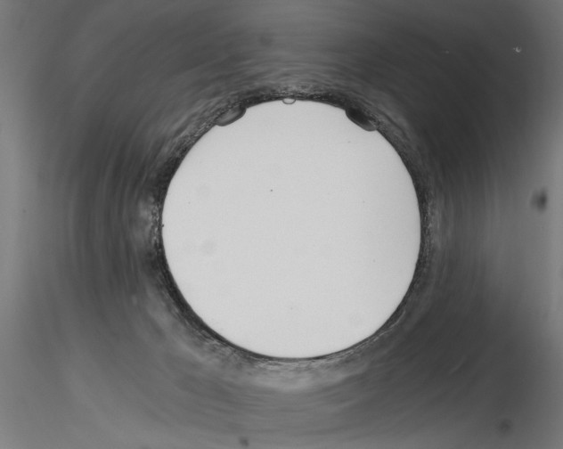 X0000115240029200912111104