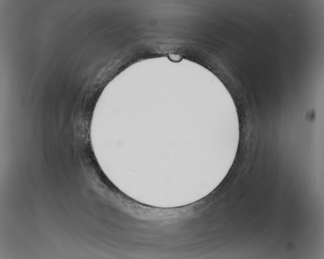 X0000115240031200912111104