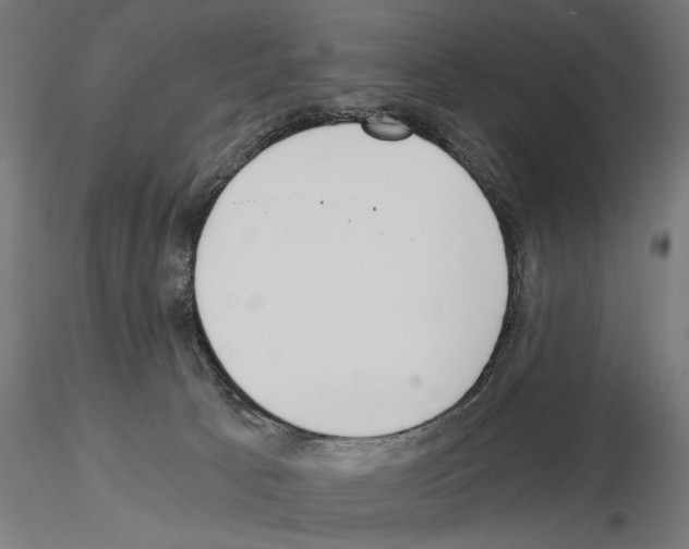 X0000115240033200912111104