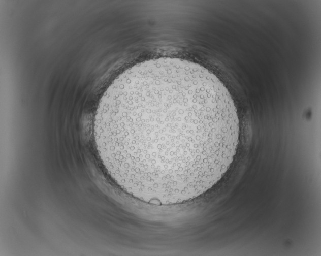 X0000115240034200912111104