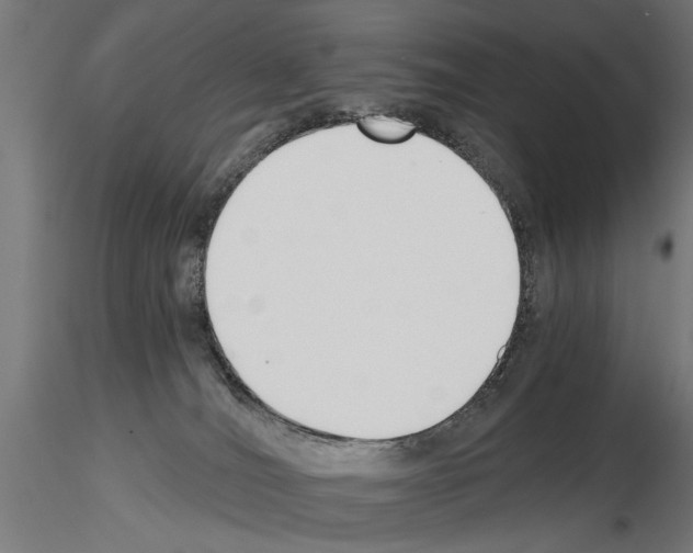 X0000115240036200912111104