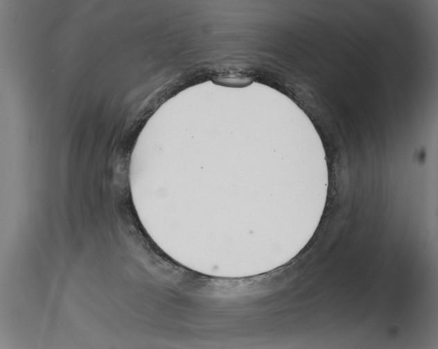 X0000115240037200912111104