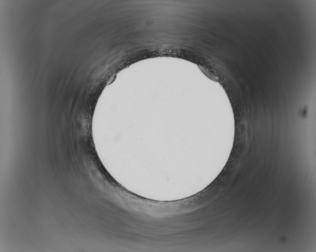 X0000115240039200912111104