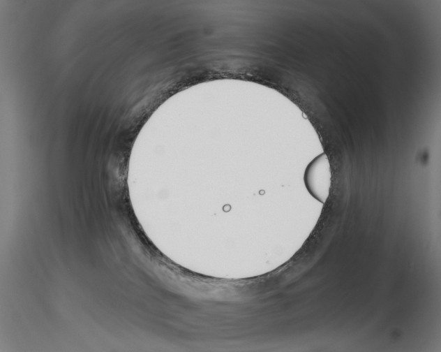 X0000115240040200912111104