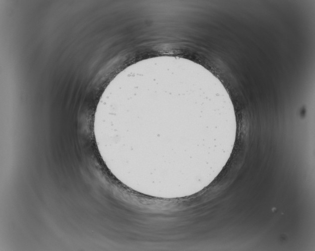 X0000115240044200912111104