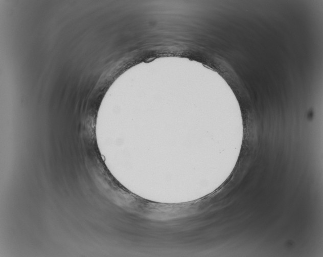 X0000115240045200912111104