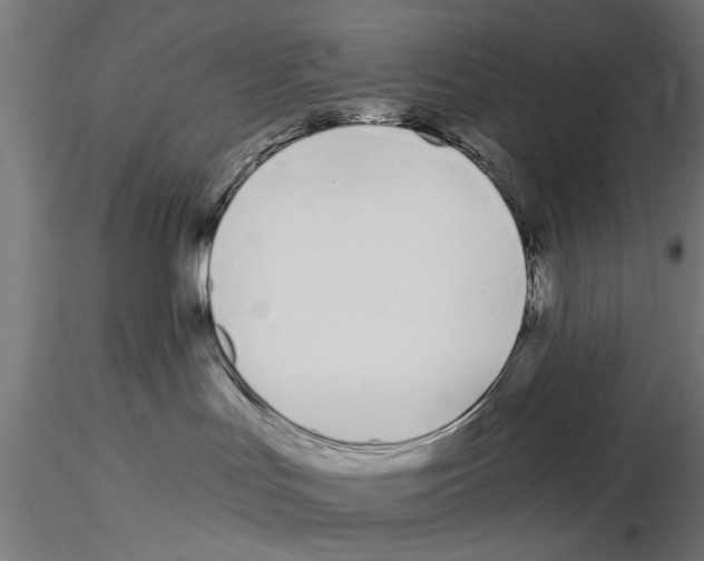 X0000115240047200912111104