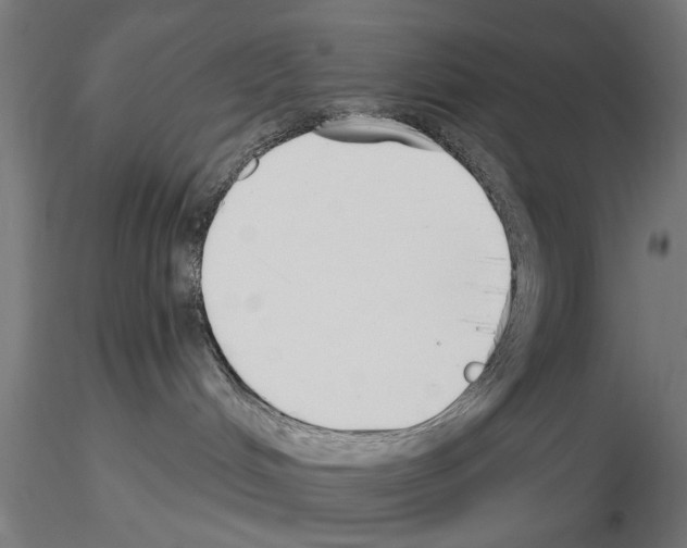 X0000115240048200912111104