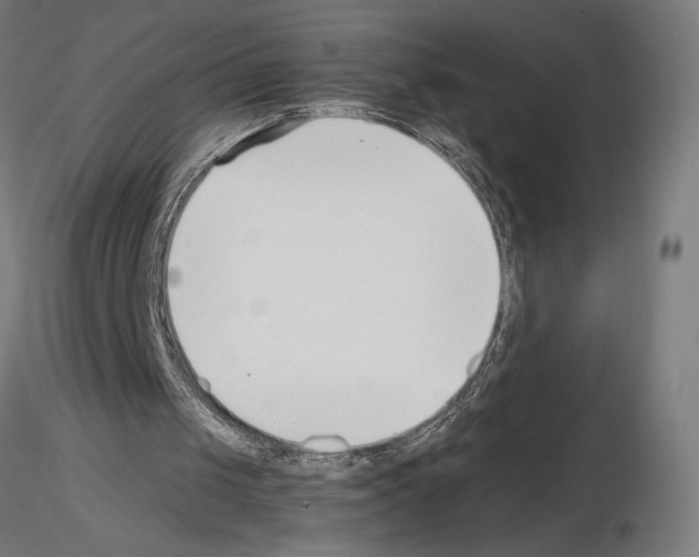 X0000115240049200912111103