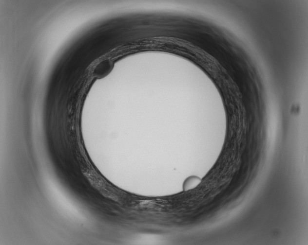 X0000115240050200912111103