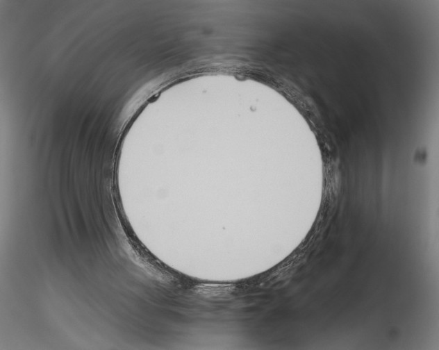 X0000115240051200912111103