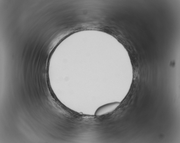 X0000115240052200912111103