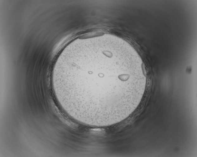 X0000115240053200912111103