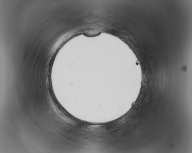 X0000115240054200912111103