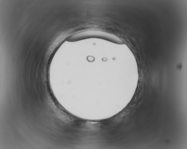 X0000115240055200912111103