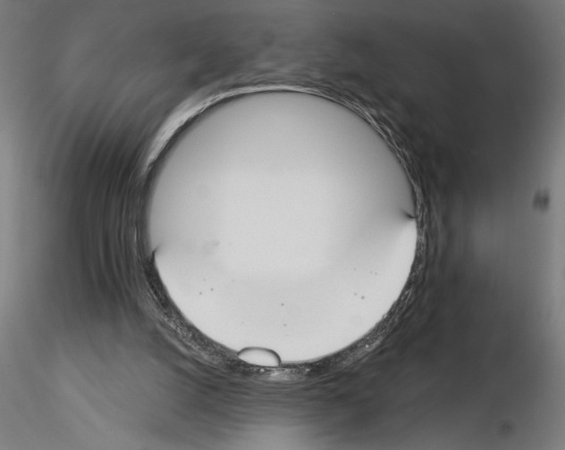 X0000115240056200912111103