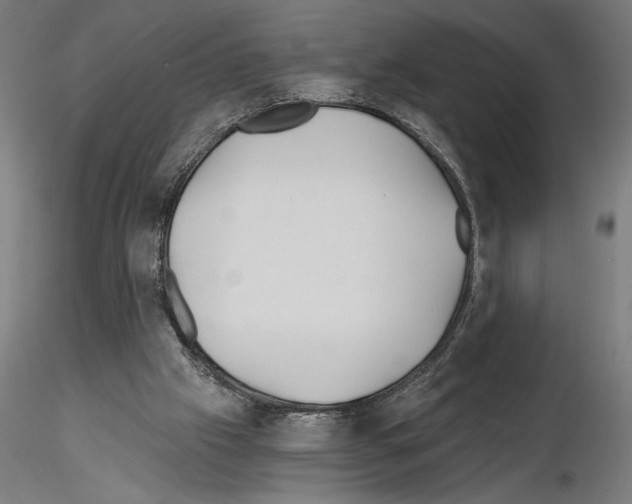 X0000115240057200912111103