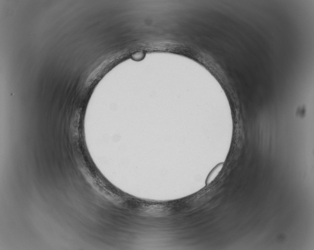 X0000115240058200912111103