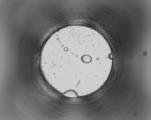 X0000115240059200912111103