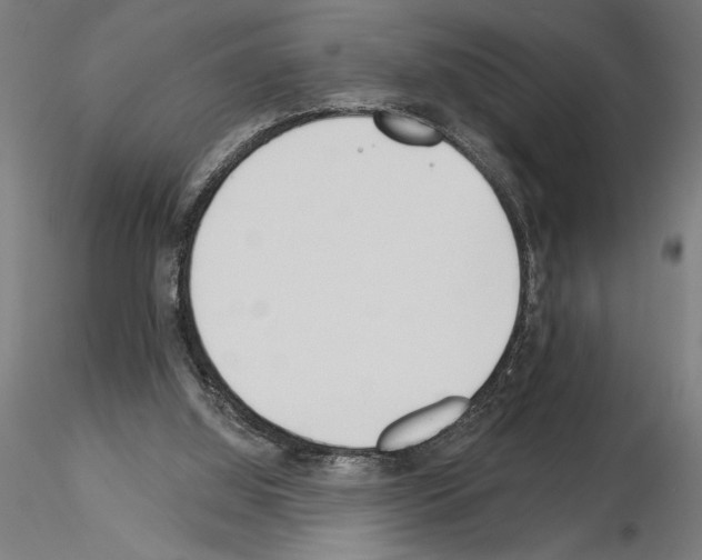 X0000115240060200912111103